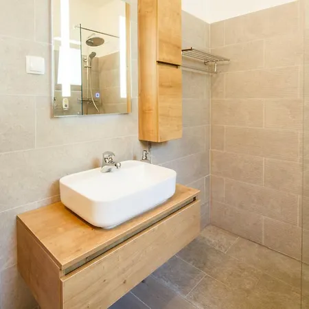 Apartment Vida